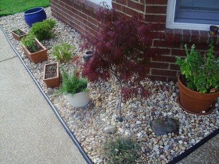 rock garden