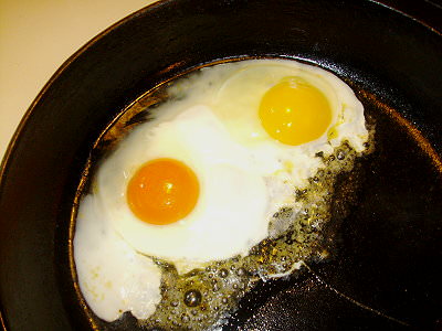 eggs